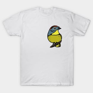 Nashville Warbler Graphic T-Shirt